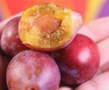 吃哪些水果可以补肾壮阳？易于获