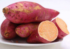 秋季吃什么养胃？秋季养胃的食物