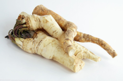 详解中药材辣根的作用！