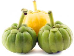 藤黄果排毒是真的吗多少钱？