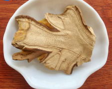 黄狗头多少钱一斤？详解黄狗的价
