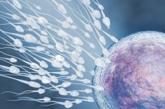 提高精子活力的秘方，介绍4个中