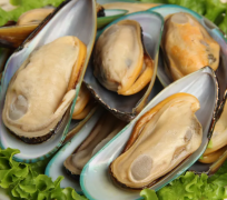 男性补肾壮阳食物有哪些？