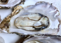 海蛎子怎么吃壮阳功效最好？海蛎
