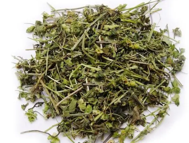 鹅肠草的功效与作用 鹅肠草简单吃法