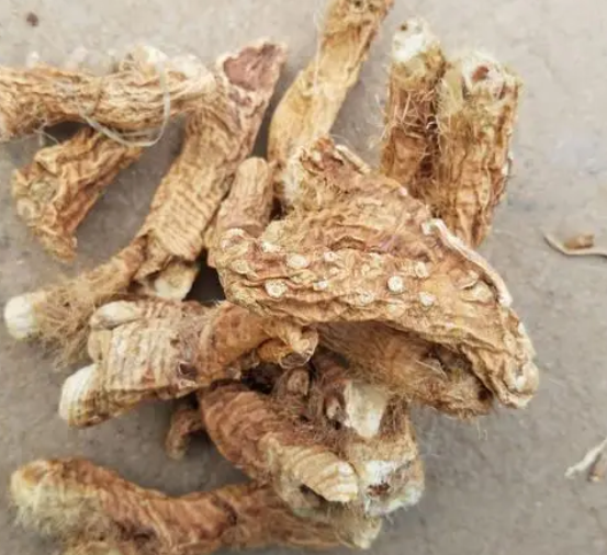 吃什么东西下火 教你对症选择最快的败火食物