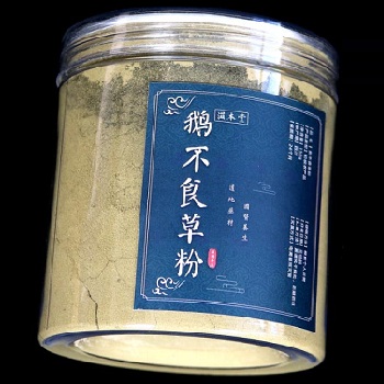 鹅不食草治过敏性鼻炎有哪些方法