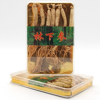 林下参