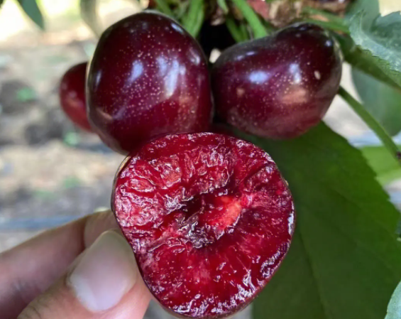 不同的运动吃不同的食物（健康运动补充3种营养元素）