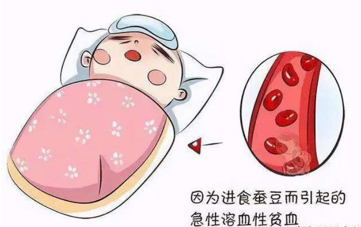 蚕豆病