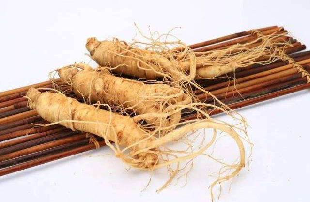 补血补气的中药材都有哪些效果呢
