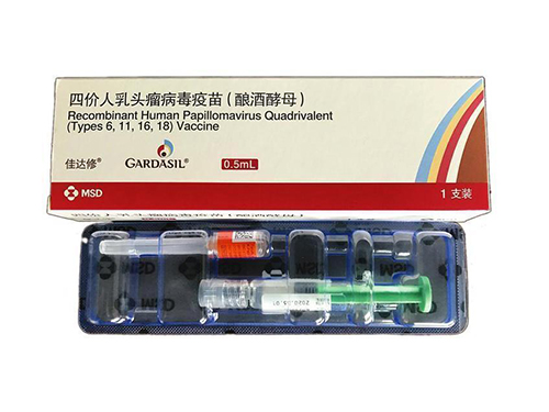 四价疫苗多少钱一针？