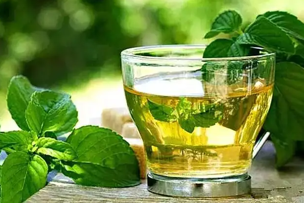 自制减肥茶 8款消脂茶消脂减肥超强效
