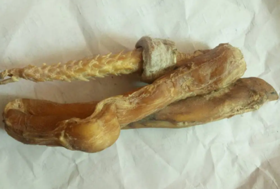 虎鞭的作用与功效 虎鞭真的能壮阳吗