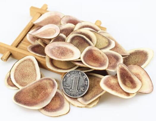 鹿茸的功效及其影响，鹿茸可以壮阳延时吗？