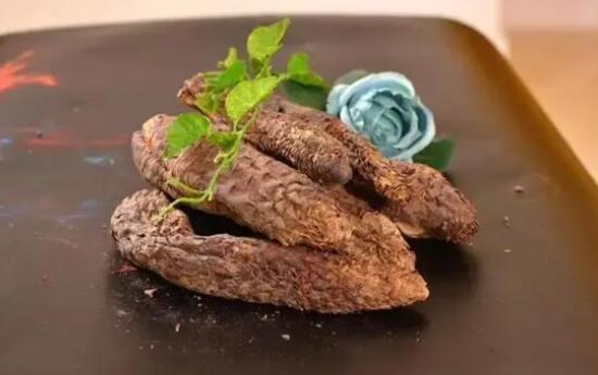 吃了肉苁蓉后太持久了是真的吗 肉苁蓉的成分及功效