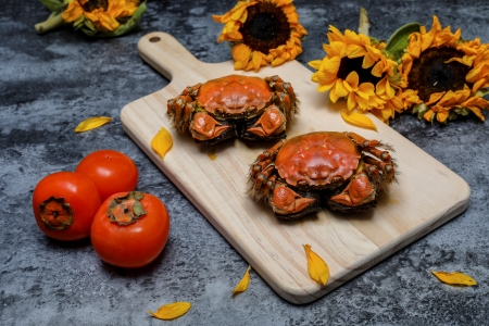 凉性食物