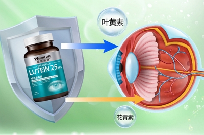 莱特维健明目叶黄素