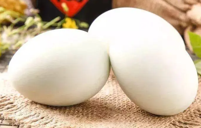 鹅蛋功效是什么 怎样吃鹅蛋能壮阳