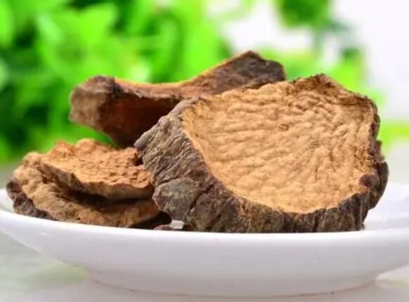 肉苁蓉可以壮阳变粗变硬吗