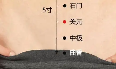 按摩哪里可以壮阳？