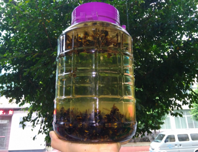 棘籽福美来蜂酒