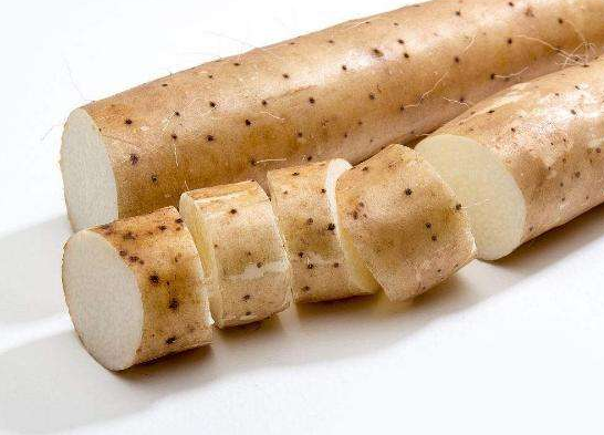 中医增肥食疗秘方
