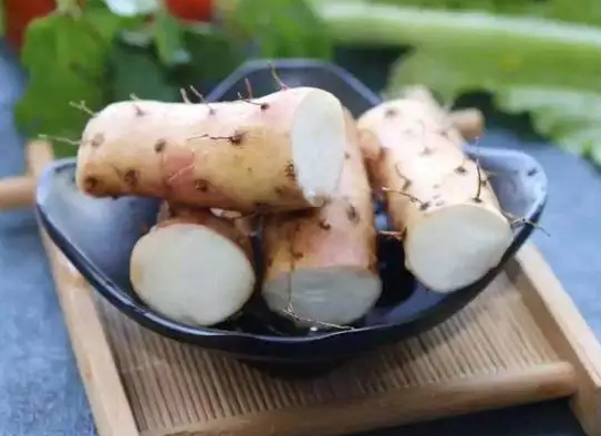 中药山药是什么山药 中药山药能用鲜山药代替吗