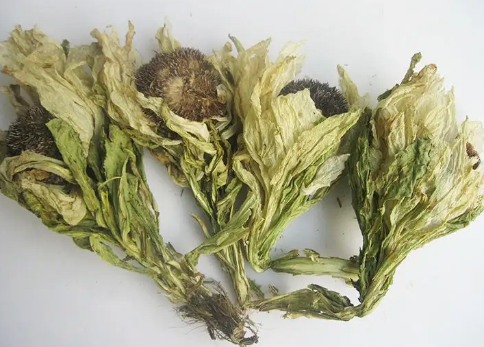 雪莲的功效与作用 雪莲花怎么泡酒才壮阳