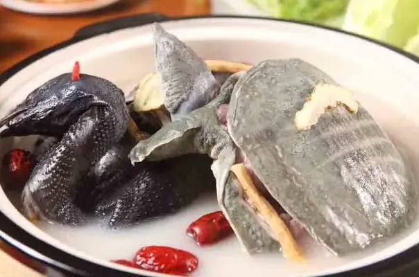 乌鸡甲鱼汤的功效 乌鸡甲鱼汤男人能喝吗