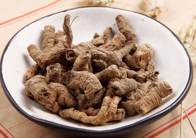能够壮阳延时的中药有哪些药材