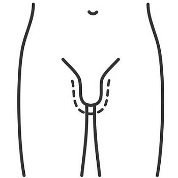 睾丸
