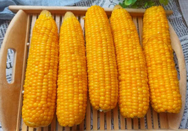 什么是减肥食谱玉米？如何制作减肥食谱玉米？