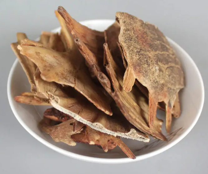 鳖甲的功效与作用是什么？鳖甲能泡酒吗