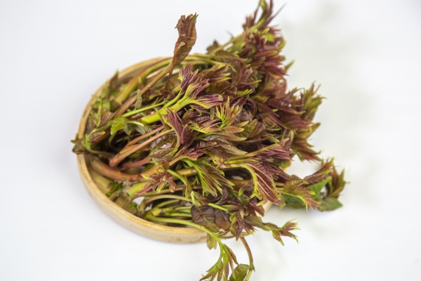 香椿是发物吗,哪些人不能吃