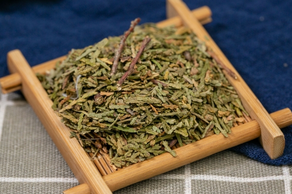 卷柏中药里治什么