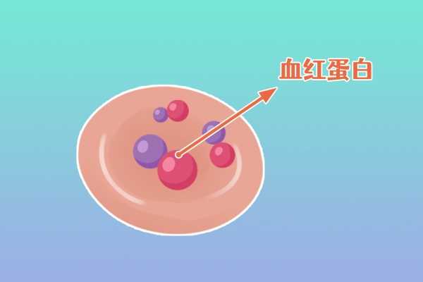 血清载脂蛋白B偏高
