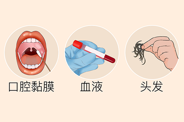 IMP是什么嘌呤