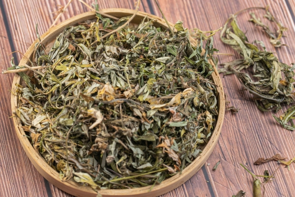 艾叶煮水洗脸可以祛痘吗