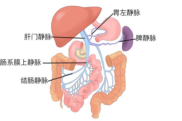 脾胃不好七大表现