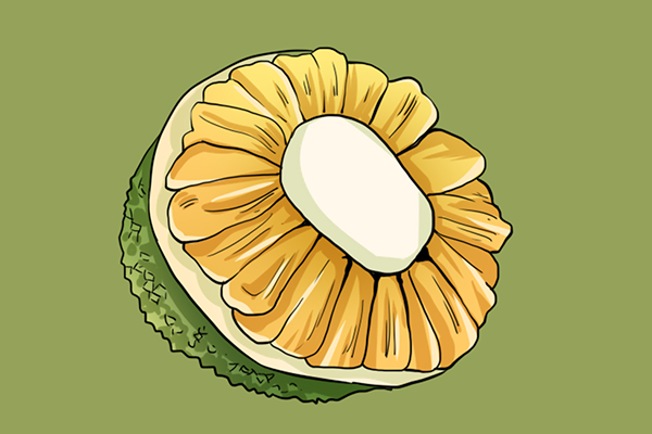 菠萝蜜的营养价值