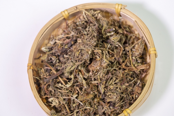 蒲公英对男性性功能的助力