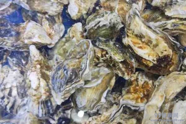 男人吃什么食物补肾最好