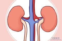 男人吃什么食物补肾最好 男人补