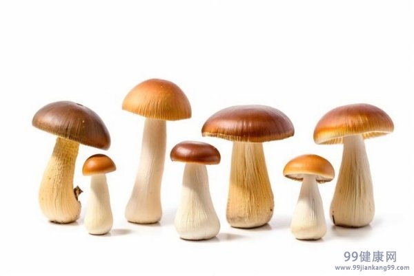各类蘑菇的功效作用及吃蘑菇的禁