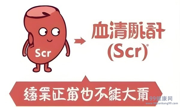 SCr医学上是什么意思 医学中的S
