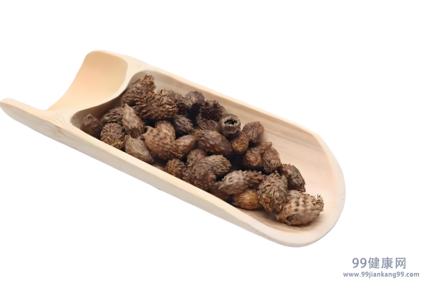 苍耳子鼻炎胶囊的功效与作用 苍