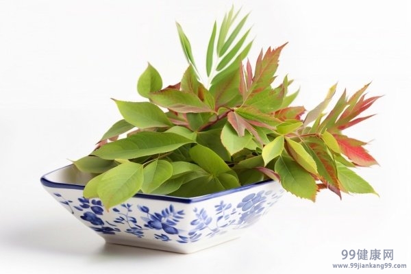 香椿芽的营养价值 香椿芽的食用
