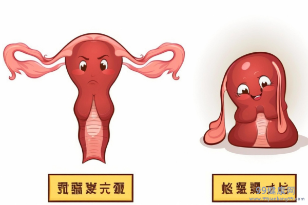 女性雌激素高的表现 女性雌激素高怎么调理