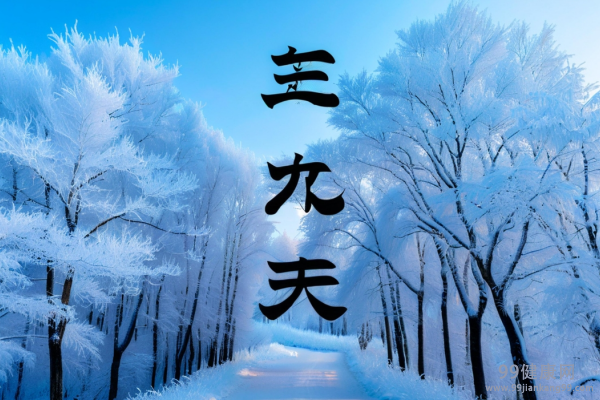 “三藏三补”三九天养生攻略